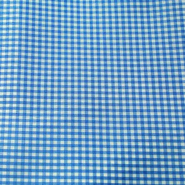 Blue · Gingham Small Check
