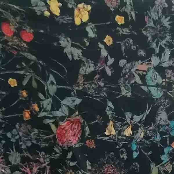 Piccadilly Poplin - Wild Flowers