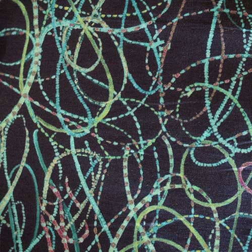 Curly Whirly · Tana Lawn 0363 (C)
