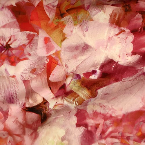 Frozen in Time · Tana Lawn 0363 (F)