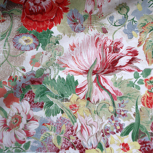 Parchment Petals · Tana Lawn 0363 (P)