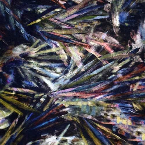 Saxby · Tana Lawn 0363 (S)