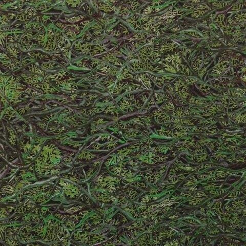 Tana Lawn