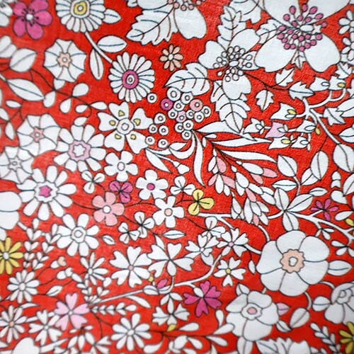 Tana Lawn Organic 0157 - Junes Meadow 015768010Y