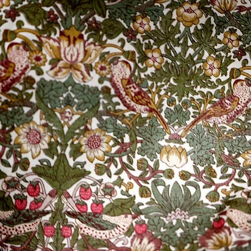 Tana Lawn Organic 0157 - Strawberry T Spring 015773520X