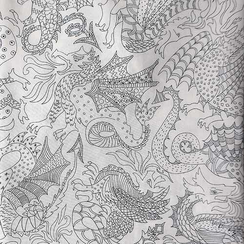 Delany Dragon · Piccadilly Poplin Organic
