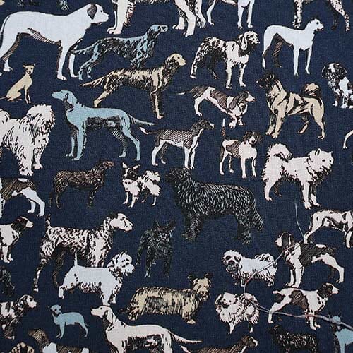 Best in Show · Piccadilly Poplin
