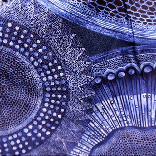 Microscopic Floral · Piccadilly Poplin