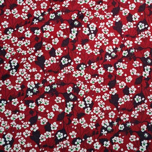 Mitsi Valeria · Piccadilly Poplin