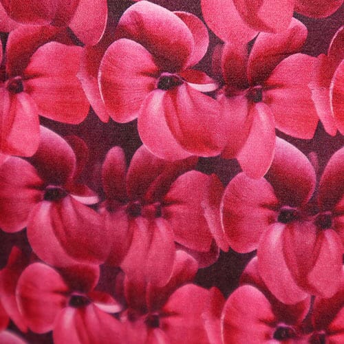 Niikura · Piccadilly Poplin