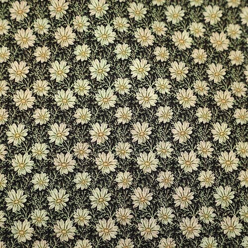 Peter Robert · Piccadilly Poplin