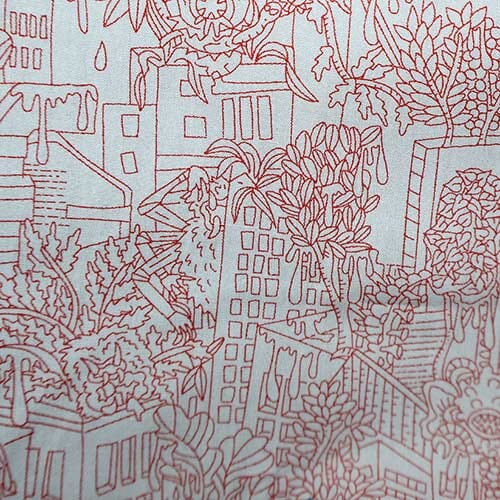 Pp0000000 · Piccadilly Poplin