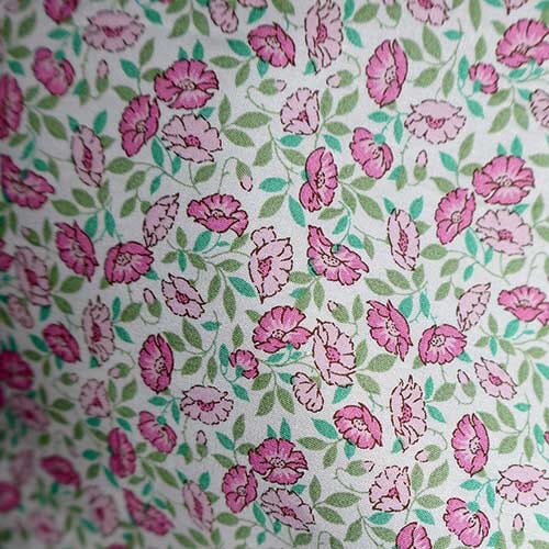 Sasha Kiora · Piccadilly Poplin