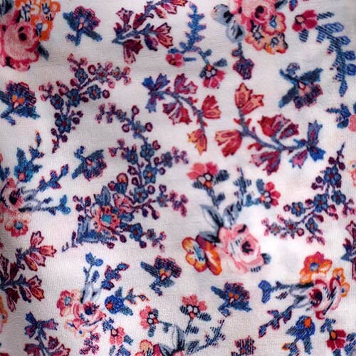 Sea Rose · Argyll Swim