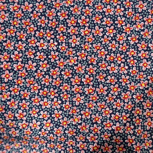 Cs · Caprera Swim