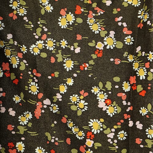Dorothy · Tana Dobby Print