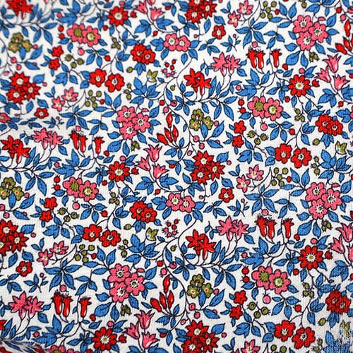 Autumn Astro 0680 - Chamomile Lawn 5702X